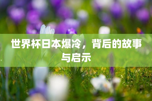 世界杯日本爆冷，背后的故事与启示洛阳市法福文化传播有限公司