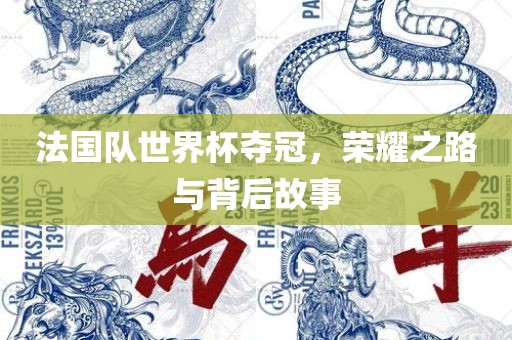 xinyu 第12页