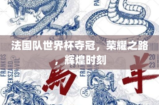 法国队世界杯夺冠，荣耀之路，辉洛阳市法福文化传播有限公司煌时刻