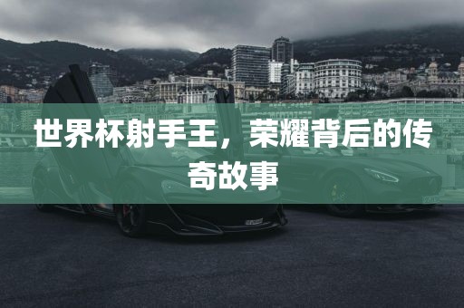 世界杯射手王洛阳市法福文化传播有限公司，荣耀背后的传奇故事