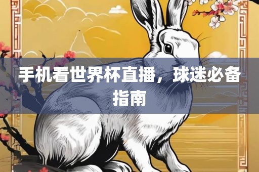 手机看世界杯直播，球迷必备指南