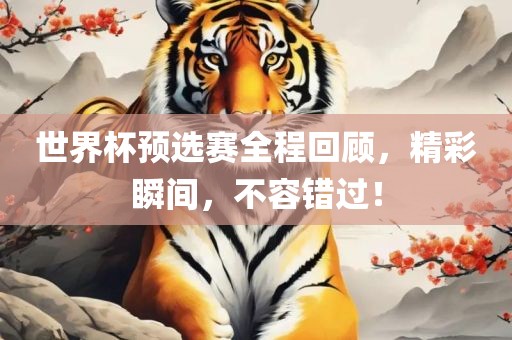 世界杯预选赛全程回顾，精彩瞬间，不容错过！洛阳市法福文化传播有限公司