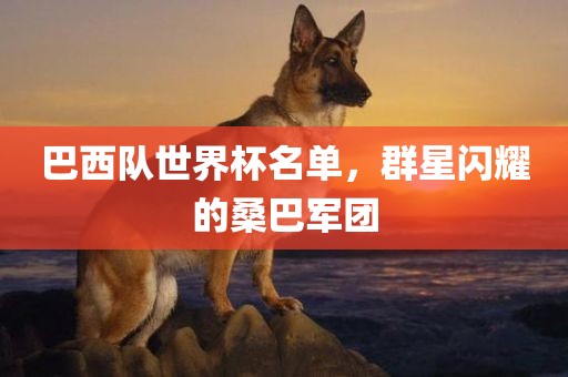 巴西队世界杯名单，群星闪洛阳市法福文化传播有限公司耀的桑巴军团