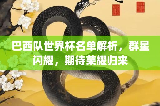 巴西队世界杯名单解析，群星闪耀，期待荣耀归来洛阳市法福文化传播有限公司