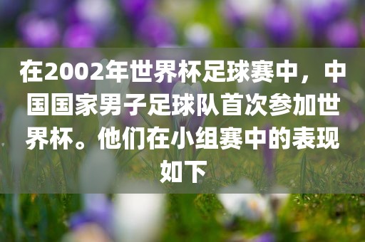 在2002年世界杯足球赛中，中国国家男子足球队首次参加世界杯。他们在小组赛中的表现如下