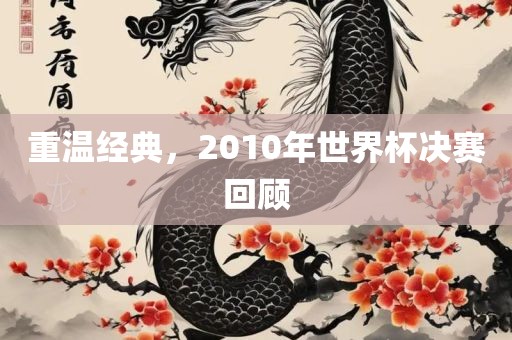 重温经典，2010年世界杯决赛回顾