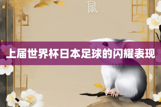 上届世界杯日本足球的闪耀表现