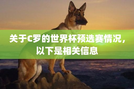 关于C罗的世界杯预选赛情况，以下是相关信息