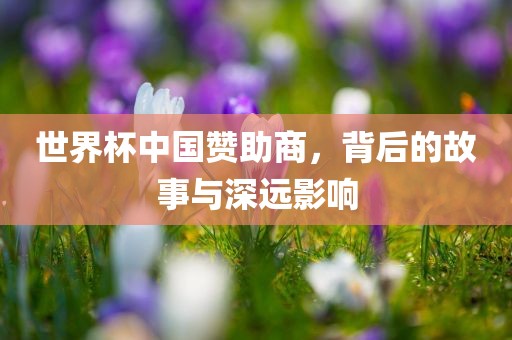 世界杯中国赞助商，背后的故事与深远影响