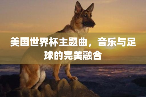 美国世界杯主题曲，音乐与足球的完美融合