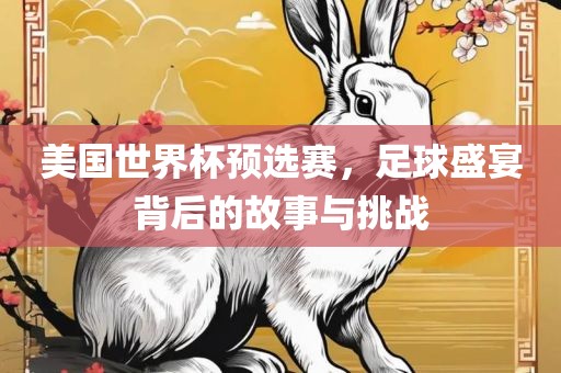 美国世界杯预选赛，足球盛宴背后的故事与挑战