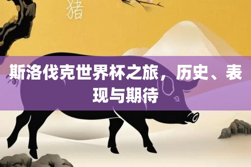 斯洛伐克世界杯之旅，历史、表现与期待