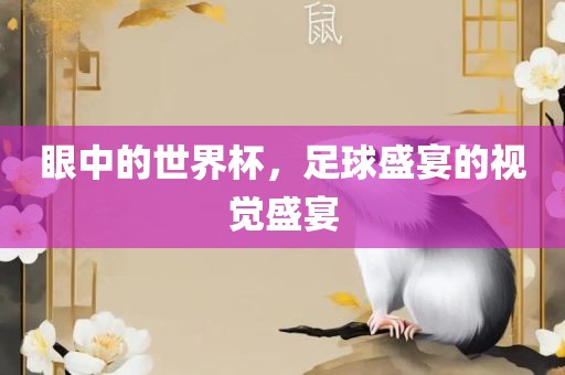 眼中的世界杯，足球盛宴洛阳市法福文化传播有限公司的视觉盛宴