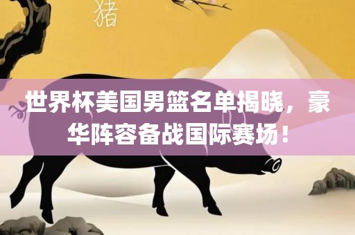 世界杯美国男篮名单揭晓，豪华阵容备战国际赛场！