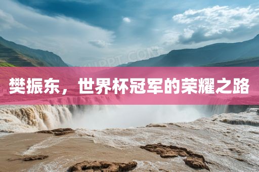 樊振东，世界杯冠军的荣耀之路