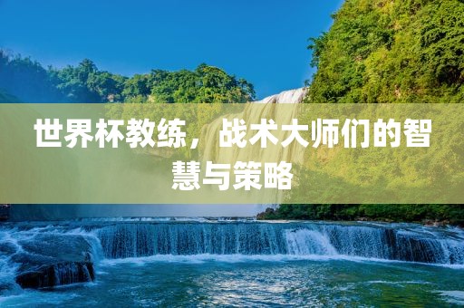 世界杯教练，战术大师们的智慧与策略