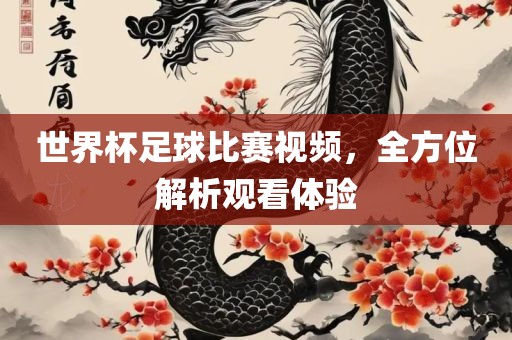 世界杯足球比赛视频，全方位解析观看体验