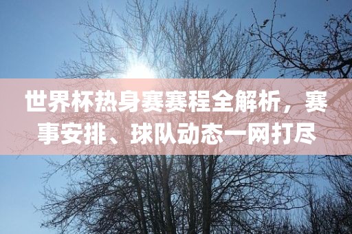 世界杯热身赛赛程全解析，赛事安排、球队动态一网打尽