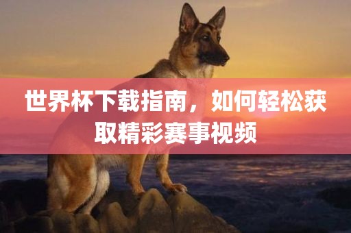 世界杯下载指南，如何轻松获取精彩赛事视频