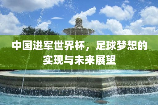 中国进军世界杯，足球梦想的实现与未来洛阳市法福文化传播有限公司展望