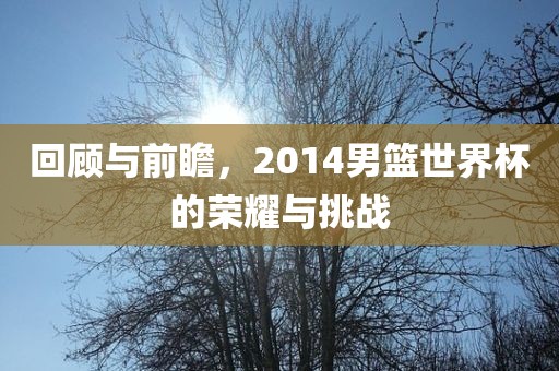回顾与前瞻，2014男篮世界杯的荣耀与挑战