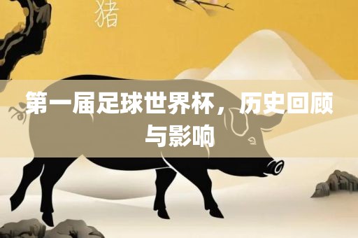 第一届足球世界杯，历史回顾与影响