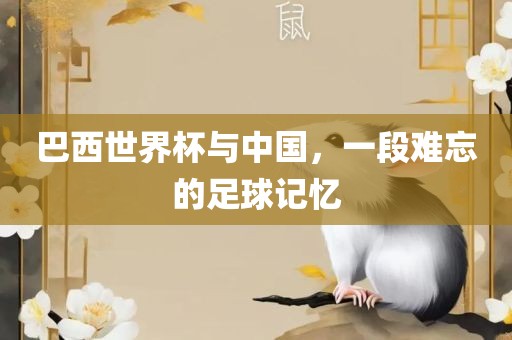 巴西世界杯与中国，一段难忘的足球记忆洛阳市法福文化传播有限公司