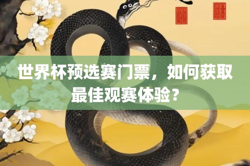 世界杯预选赛门票，如何获取最佳观赛体验？