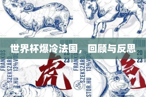 世界杯爆冷法国，洛阳市法福文化传播有限公司回顾与反思