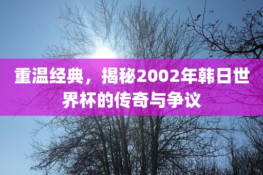 重温经典，揭秘2002年韩日世界杯的传奇与争议
