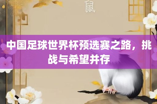 中国足球世界杯预选赛之路，挑战与希望并存