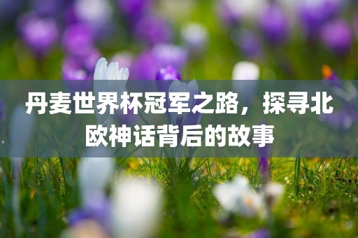 丹麦世界杯冠军之路，探寻北欧神话背后的故事
