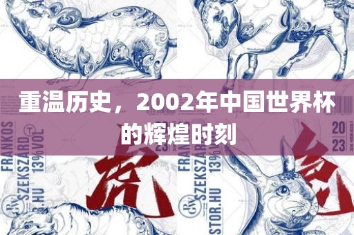 洛阳市法福文化传播有限公司重温历史，2002年中国世界杯的辉煌时刻