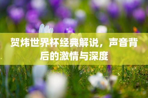 贺炜世界杯经典解说，声音背后的激情与深度