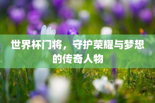 世界杯门将，守护荣耀与梦想的传奇人物