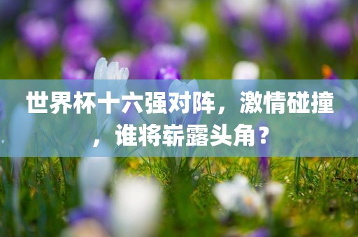 世界杯十六强对阵，激情碰撞，谁将崭露头角？洛阳市法福文化传播有限公司