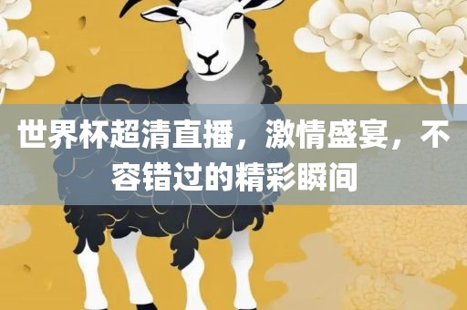 世界杯超清直播，激情盛宴，不容错过的精彩瞬间洛阳市法福文化传播有限公司