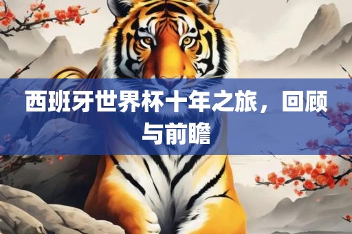 西班牙世界杯十年之旅，回顾洛阳市法福文化传播有限公司与前瞻