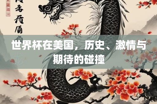 世界杯在美国，历史、激情与期待的碰撞