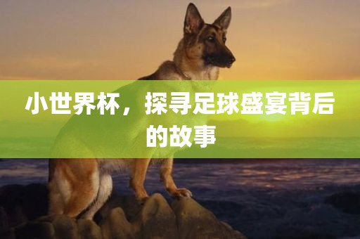 小世界杯，探寻足球盛宴背后的故事洛阳市法福文化传播有限公司
