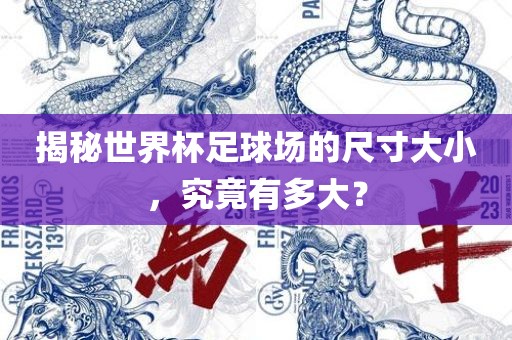 揭秘世界杯足球场的尺寸大小，究竟有多大？