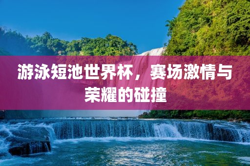 游泳短池世界杯，赛场激情与荣耀的碰撞