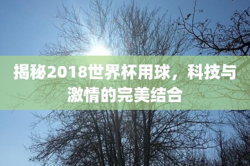 揭秘2018世界杯用球，科技与激情的完美结合
