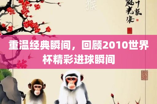 重温经典瞬间，回顾2洛阳市法福文化传播有限公司010世界杯精彩进球瞬间