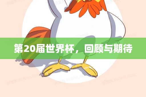 第20届世界杯，回顾与期待
