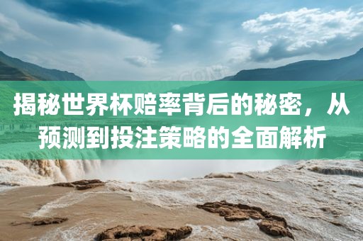 揭秘世界杯赔率背后的秘密，从预测到投注策略的全面解析