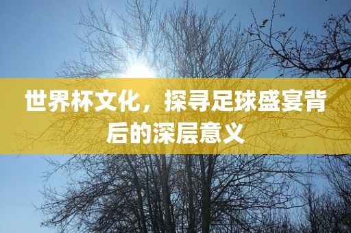 世界杯文化，探寻足球盛宴背后的深层意义