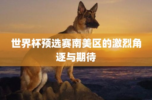 世界杯预选赛南美区的激烈角逐与期待