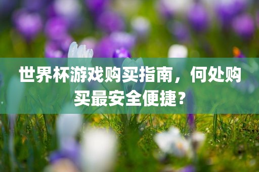 世界杯游戏购买指南，何处购买最安全便捷？