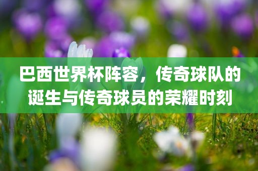巴西世界杯阵容，传奇球队的诞生与传奇球员的荣耀时刻